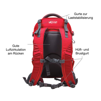 Kurgo G-Train Hunderucksack Rot – Für Haustiere bis 11 kg