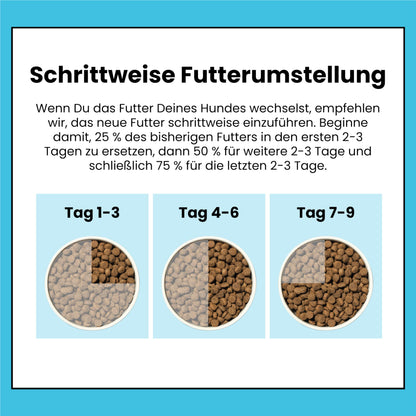 Pooch & Mutt Vitalität & Verdauung Getreidefrei Hundefutter Lachs 10 kg