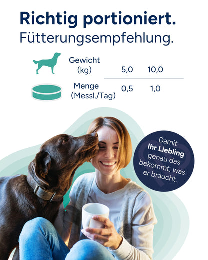 NutriLabs Rascave Hepar Forte Tabletten für Hunde, 90 Stück