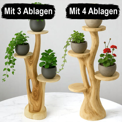 My-goodbuy24 Blumentreppe Massivholz Suar 4 Ablagen