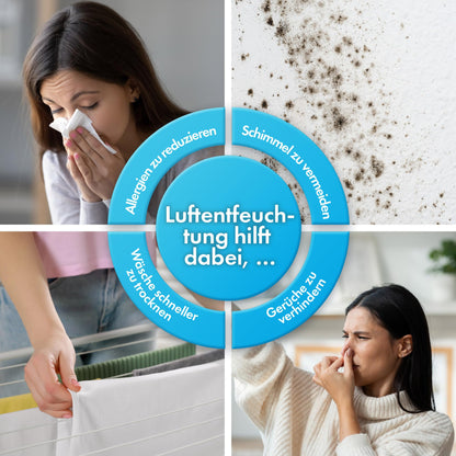 VonHaus Luftentfeuchter Elektrisch 12L/24h für Räume bis 20m²