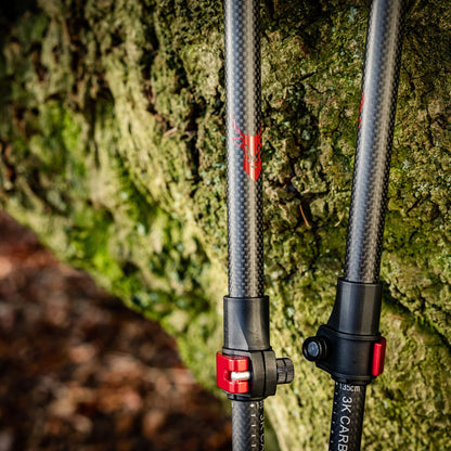 Rothwild Steinbock Trekkingstöcke Carbon Korkgriff Schwarz