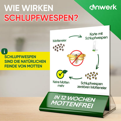 anwerk® Schlupfwespen biologisch gegen Kleidermotten - 30 Karten