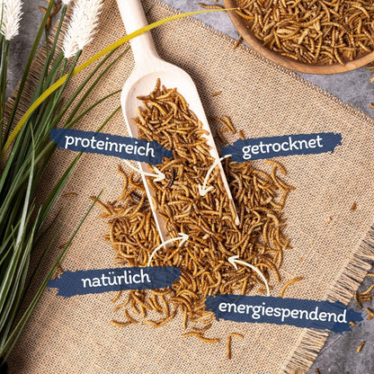 Lyra Pet® Mehlwürmer getrocknet Protein-Vogelfutter 10 kg