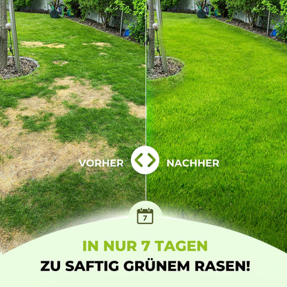 TerraUno Rasendünger Frühjahr/Sommer Sofortwirkung – 20 kg