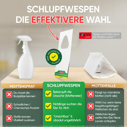 anwerk® Schlupfwespen biologisch gegen Kleidermotten - 30 Karten