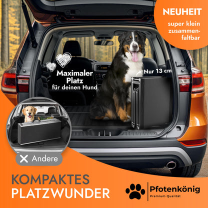 PFOTENKÖNIG PLATZWUNDER Hunderampe Auto - klappbar Leicht-Alu