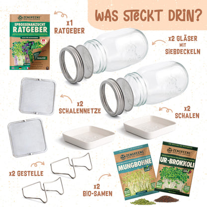 zengreens Bio Sprossen Anzuchtset mit Sprossenglas und Bio-Samen