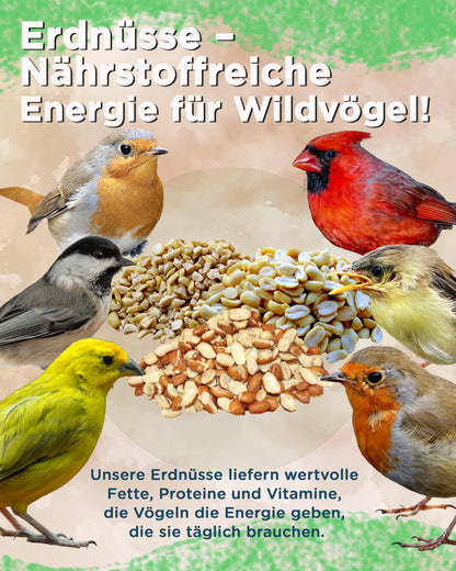 Futterbauer Erdnüsse gehackt Vogelfutter – 25 kg weiss blanchiert