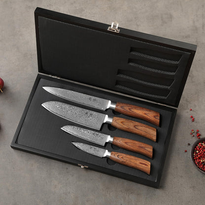 Wakoli EDIB Pro Damastmesser-Set 4er – Pakkaholz