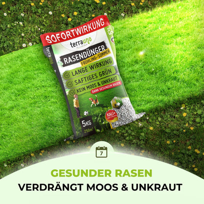 TerraUno Rasendünger Frühjahr/Sommer Sofortwirkung – 20 kg