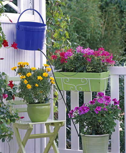 Blumat Tropf Medium Box Kit - Bewässerungssystem 12 Pflanzen