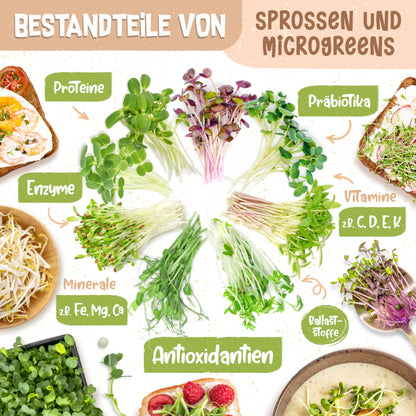 zengreens® Bio Sprossen Anzuchtset Sprossenglas – 1er Set