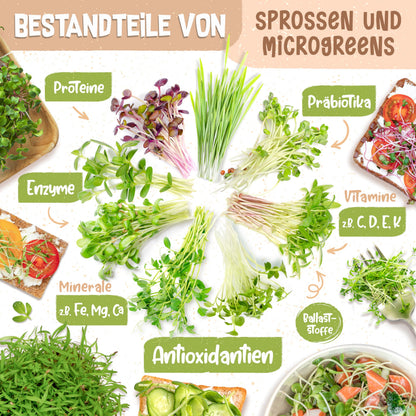 zengreens Bio Sprossen Anzuchtset mit Sprossenglas und Bio-Samen