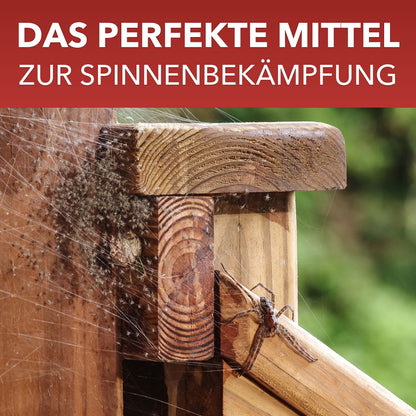 BIODELTA LTK-008 Spinnenspray Langzeitwirkung - 2x5L