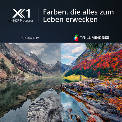 Sony BRAVIA KD-50X80L 50 Zoll 4K HDR LED Smart TV