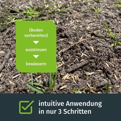 Turbogrün Schattenrasensamen 250 m² – RSM Grassamen für Schatten