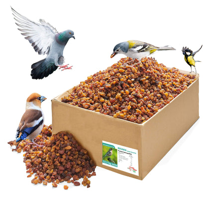 Paul's Mühle Rosinen Wildvogelfutter ungeschwefelt 12,5 kg