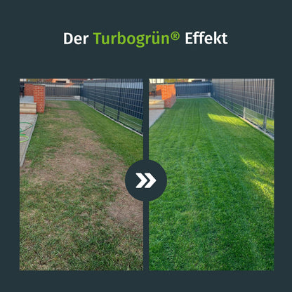 Turbogrün Schattenrasen Grassamen 150 m², RSM-Qualität