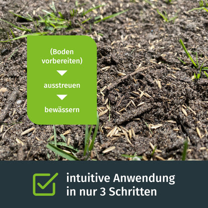 Turbogrün Sport und Spielrasen Rasensamen schnellkeimend 250m²