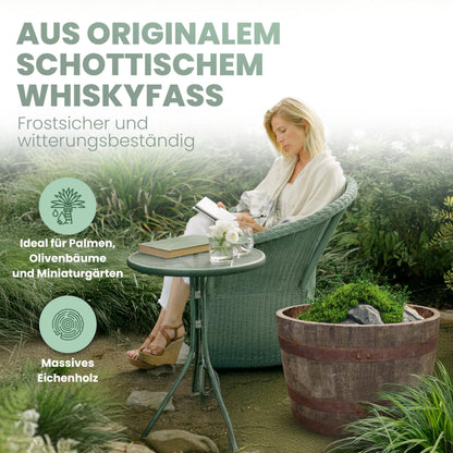 Temesso Halbes Whiskyfass aus Eiche, schottisch, natur unbehandelt