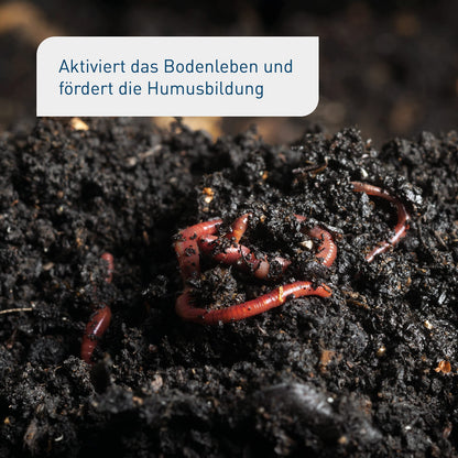 Plantura Bio-Bodenaktivator mit Mykorrhiza-Pilzen, 10,5 kg für 140 m²