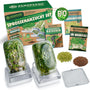 zengreens Bio Sprossen Anzuchtset mit Sprossenglas und Bio-Samen – Set mit Keimglas und Keimschale