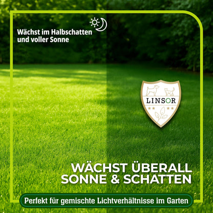 Linsor Zauberrasen Rasensamen schnellkeimend – 10kg / 500m²