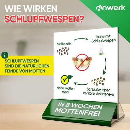 anwerk® Schlupfwespen gegen Lebensmittelmotten – 80 Karten