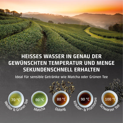 CASO HW 660 Heisswasserspender – Schnell heisses Wasser auf Knopfdruck