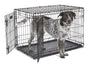MidWest Homes for Pets iCrate 1536DDU Hundebox – Doppeltür Schwarz 90cm