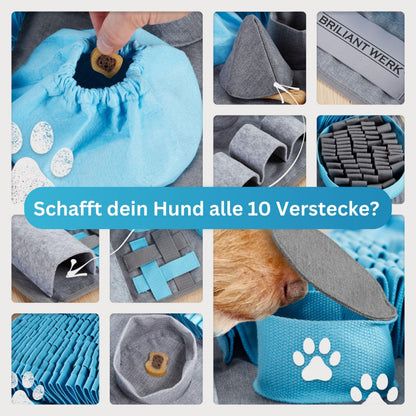 Briliantwerk Schnüffelteppich für Hunde, Intelligenzspielzeug, Blau