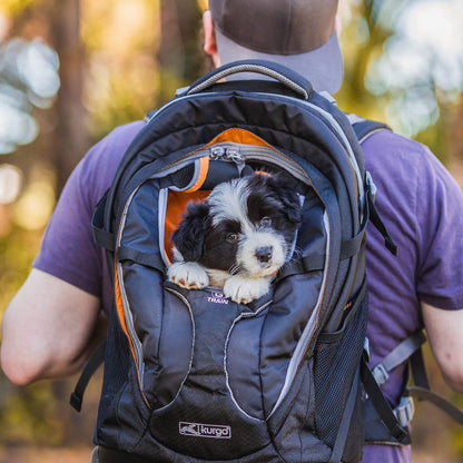Kurgo G-Train Hunderucksack für Hunde bis 11 kg - Schwarz