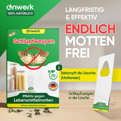 anwerk® Schlupfwespen gegen Lebensmittelmotten – 80 Karten