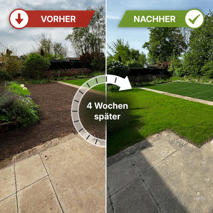 TerraUno Rasensamen Nachsaat schnellkeimend für 250 m², RSM Qualität