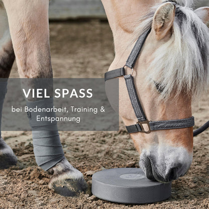 NØRSHOLM EQUESTRIAN Balance Pad Pferd Bodenarbeit 2er Set