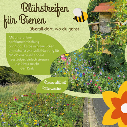 Bienenmagnet Wildblumensamen 500g – nektarreiche Samenmischung