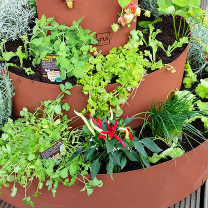 UNUS Garden Kräuterspirale Edelrost, rundes Kräuterbeet, 3 Ebenen