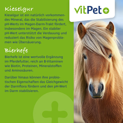 VitPet+ Huf Wohl Mineralfutter Pferde mit Biotin, Zink, 4 kg