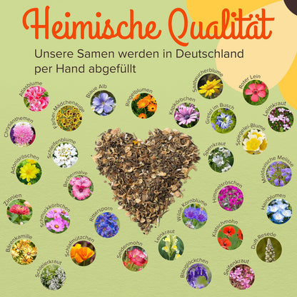 Bienenmagnet Wildblumensamen 500g – nektarreiche Samenmischung