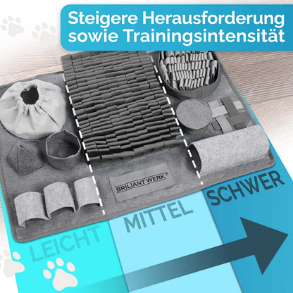 Briliantwerk Schnüffelteppich für Hunde – Intelligenzspielzeug, Grau