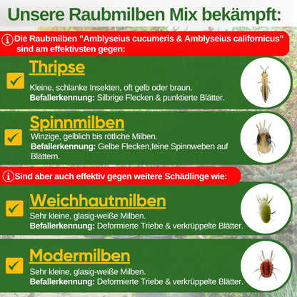 GREEN GUARDIA Power Raubmilben Mix gegen Thripse & Spinnmilben – 50 Mix