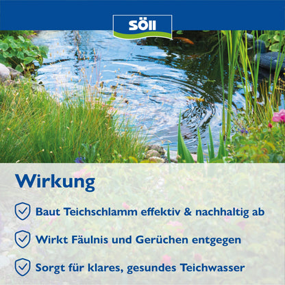 Söll 80632 TeichschlammEntferner 2,5 kg für Gartenteich und Fischteich