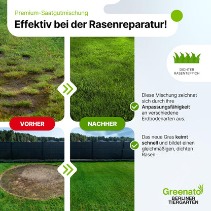 Greenato Berliner Tiergarten Rasensamen - 30 kg schnellkeimend für 1200 m²