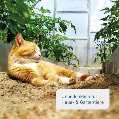 Plantura Bio-Bodenaktivator mit Mykorrhiza-Pilzen, 10,5 kg für 140 m²