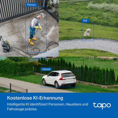Tapo C530WS 360° Aussen-Überwachungskamera 3K 5MP Starlight