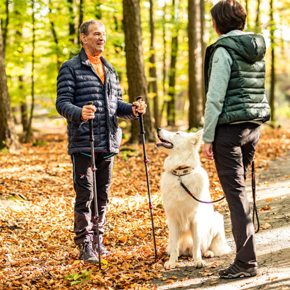 Rothwild Steinbock Trekkingstöcke Carbon Korkgriff Schwarz