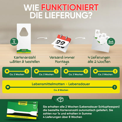 anwerk® Schlupfwespen gegen Lebensmittelmotten – 80 Karten