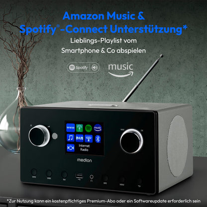 MEDION P85444 2.1 Internetradio mit Subwoofer, DAB+/UKW, Titan