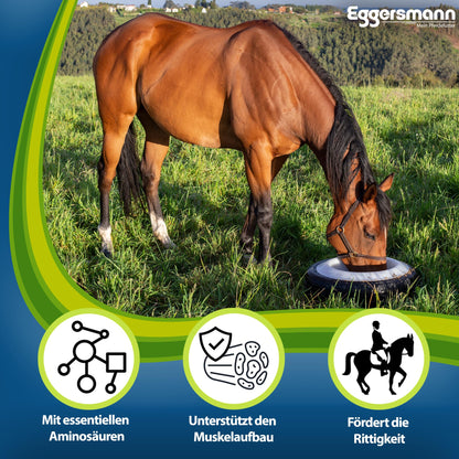 Eggersmann Profi Aminoral Aminosäuren Konzentrat 20 kg